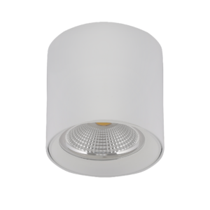Ceiling Mounted Luminaire